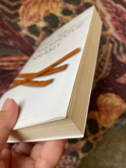 Skořicové krámy Bruno Schulz - 3