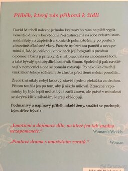 Unesená / Lesley Pearse - 3