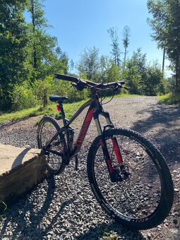 Canyon nerve al 8.9 - 3