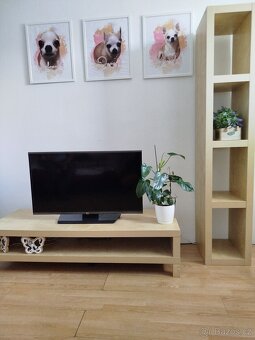 Tv stolek a police - 3