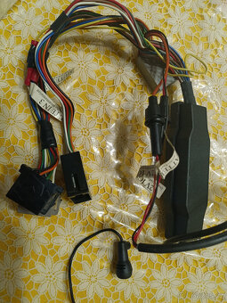 Handsfree Parrot - 3