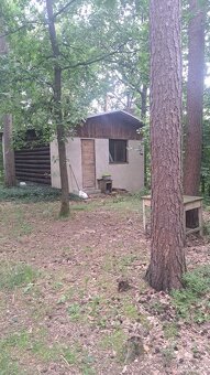 Prodám chatu u Jindřichova Hradce - 3
