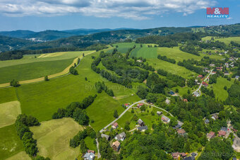 Prodej louky, 3867 m², Zlatá Olešnice - 3
