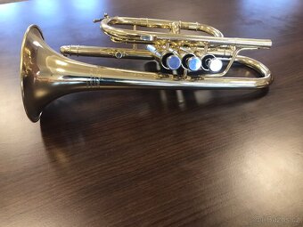 Cornet b - 3