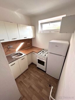 Pronajmu přízemní byt 2+1 se zahradou, Český Těšín - 3