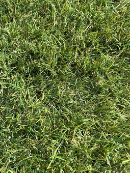 Luxusní umělý trávník 5,2x 4 m - 3