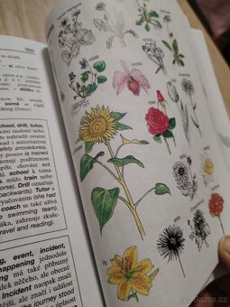 ANGLICKO-ČESKÝ, ČESKO - ÁNGLICKÝ SLOVNÍK. - 3