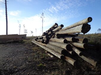 smrková kulatina suchá odkornená - 3