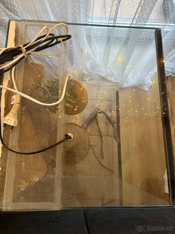 Prodej terraria - 3
