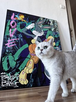 Obraz Bunny - 3