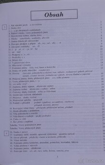 Slovník,  Český jazyk, pravopis - 3