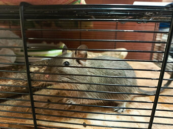 Prodáme osmáky - 3