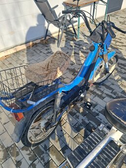 Manet korado Babeta 210 - 3