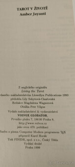 Amber Jayanti Tarot v životě - 3