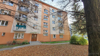 Byt 3+1, 63 m2 v Olomouci, Kmochova ulice - 3