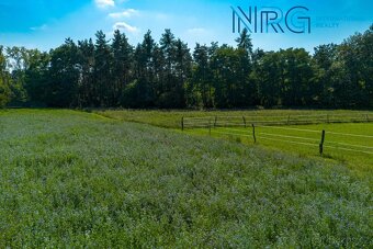 Prodej pozemku 3772 m2, Sendražice u Kolína - 3