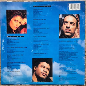 Lisa Lisa & Cult Jam – Straight To The Sky LP, VG+ / VYPRANÁ - 3