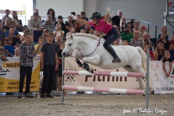 Sepík - stáj, kde se váš talent rozvine naplno - 3