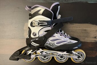 Inline brusle Fila Master Df - 3