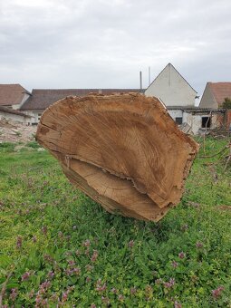 Ořechové dřevo - 3