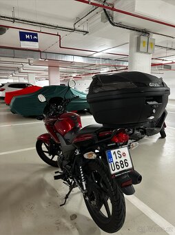 Honda CBF 125 - 3