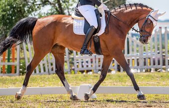 Drezurní sedlo Prestige - 3