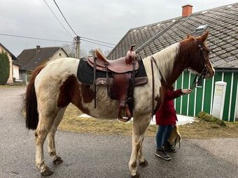 Westernové sedlo Pullman 1562 Continental Saddlery Co - 3