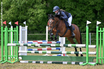 Pony klisna kat. B - 3