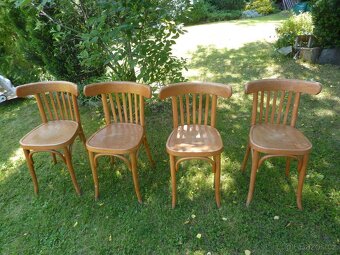 Židle Thonet 4 ks - cena za vše 1.600,- - 3