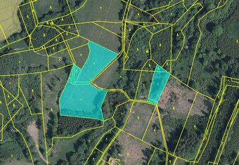 Prodej ucelené louky a lesa - 1,2 ha - kú Podivice - 3