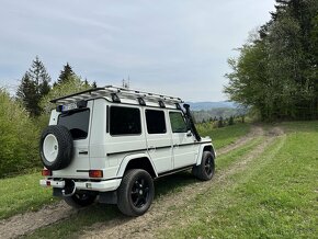 Mercedes Benz G 300 cdi Professional - 3