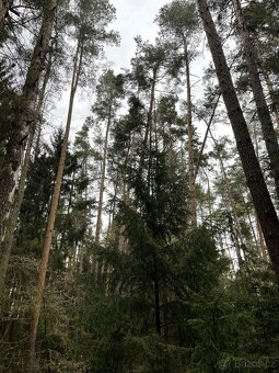 Prodám pozemky v k.ú. Hradiště u Domažlic - 3