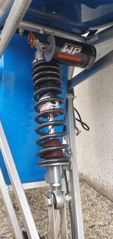 Monoski pro vozíčkáře - 3