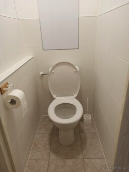 Pronájem bytu 1+kk - 3