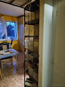 Set akvárií včetně rybek - 3