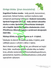 Tinktura Ginkgo biloba(Jinan) - 3