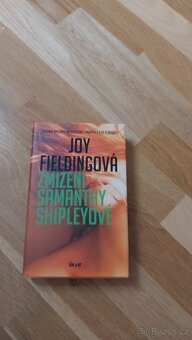 Joy Fielding - 3