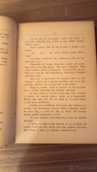 Růžena Burgrová,burská hrdinka aneb Zlatokopové v Transvaalu - 3