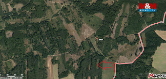 Prodej lesa, 12669 m², Jetětice - 3