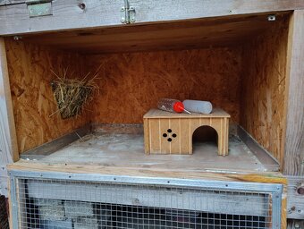 Malá králíkárna/morčatárna - 3