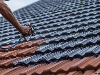 PROFESIONÁLNÍ ČIŠTĚNÍ FASÁD, STŘECH - 3