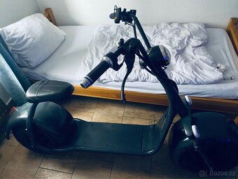 ecowheel chopper - 3