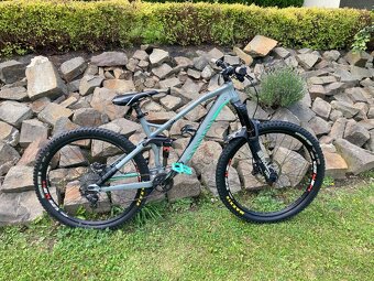 Canyon nerve al - 3