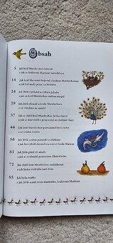 Tajemství srdce - Šárka Váchová - 3
