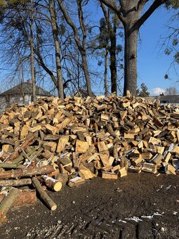 Prodej štípaného dřeva nebo kulatina - 3