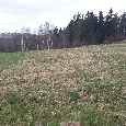 Stavební pozemek 4086 m2, Mýto u Tachova - 3