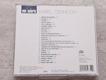 KAREL ČERNOCH - POP GALERIE - 3