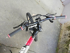 Leader Fox Spider 24" - 3