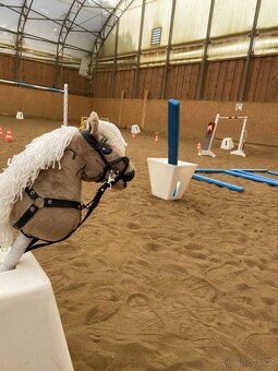 Hobby horse na parkur - 3
