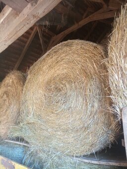 Prodám Balíky Sena - 3